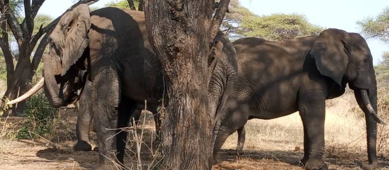 8 Days Of Wilderness In Luxury Tour