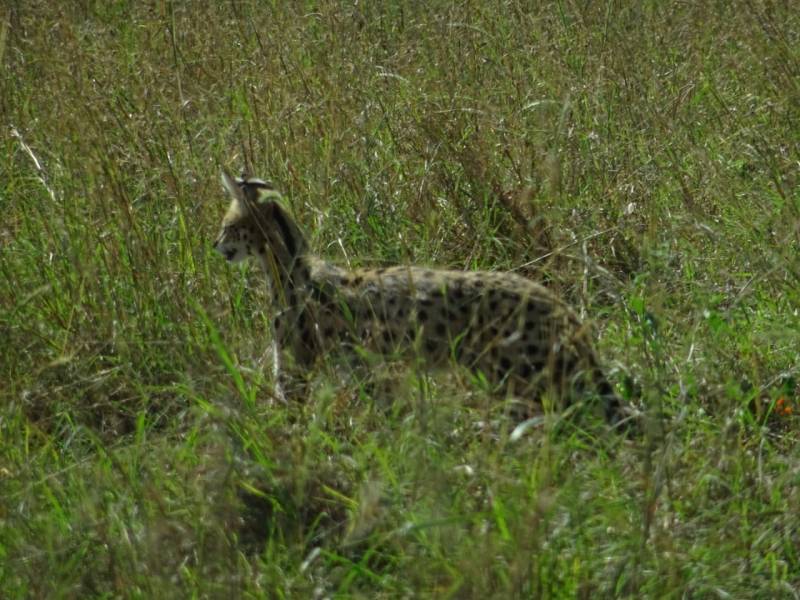 8 Days Of Wilderness In Luxury Tour