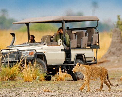 4 Days Luxury Africa Adventure - Migration Tour