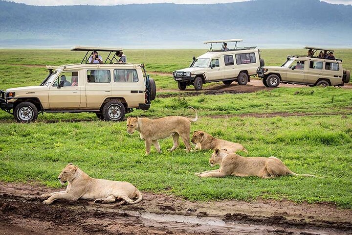 5 Days Luxury Safari For The Sense - Option 1