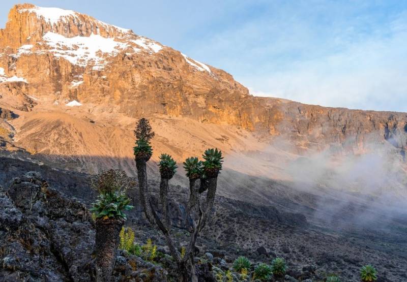 Lemosho Route - 8 Days Best For Success - Views Tour Image
