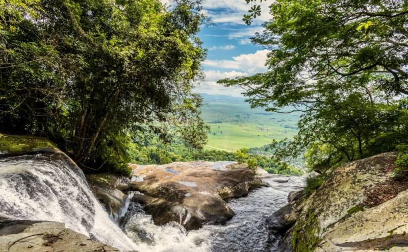 3 Day Mikumi - Udzungwa National Park Camping Safari Tour