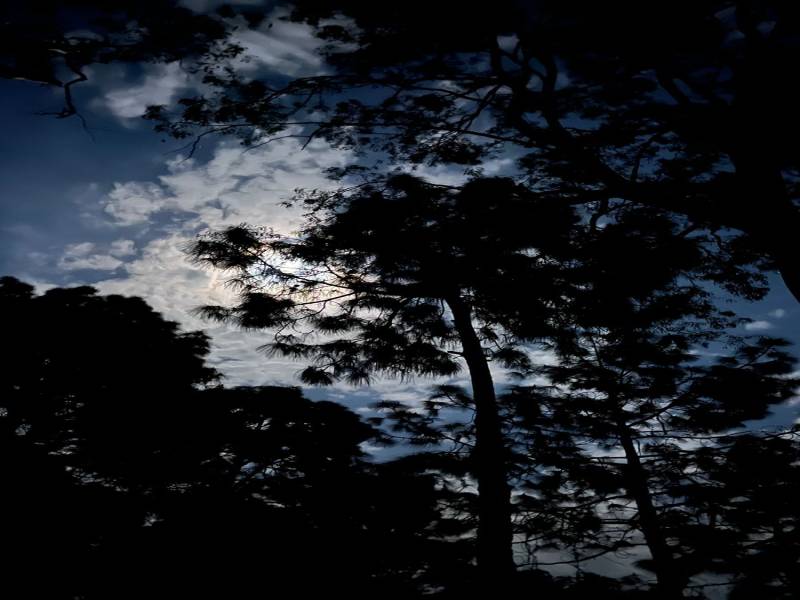 9 Nights 10 Days Shimla - Manali - Dharamshala - Dalhouise - Amritsar Tour