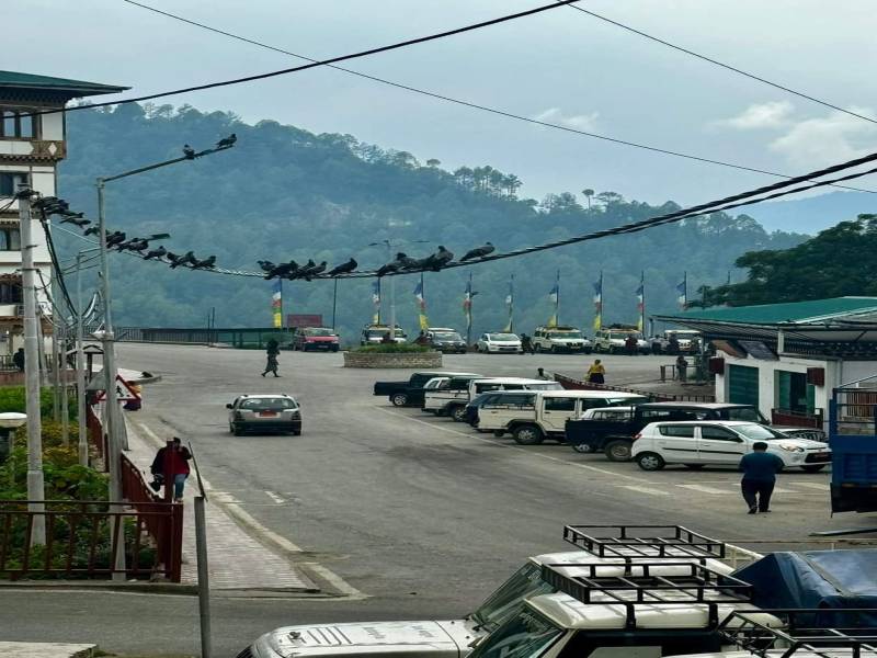 15 Nights/16 days Merak Sakteng Trekking Tour