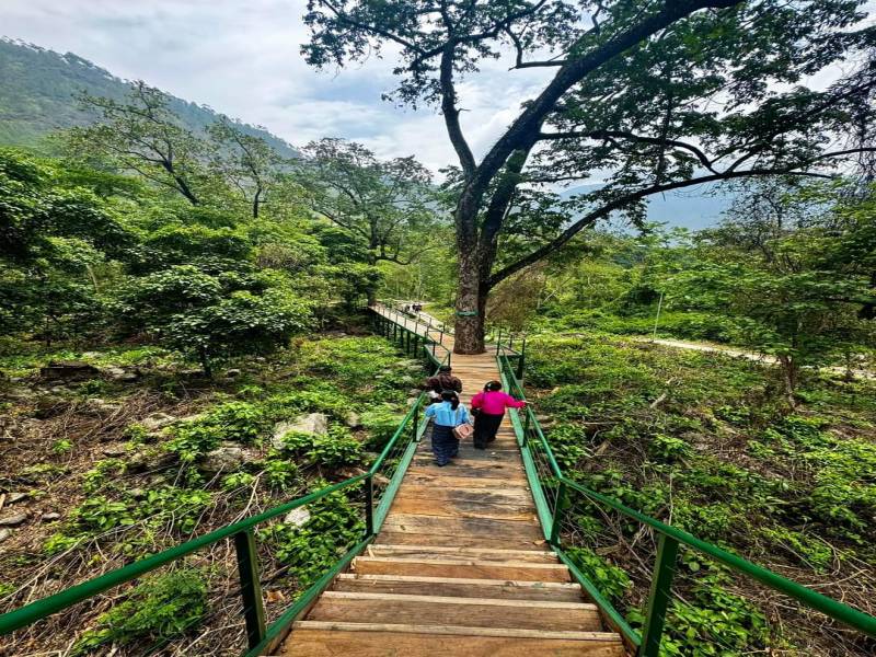 15 Nights/16 days Merak Sakteng Trekking Tour