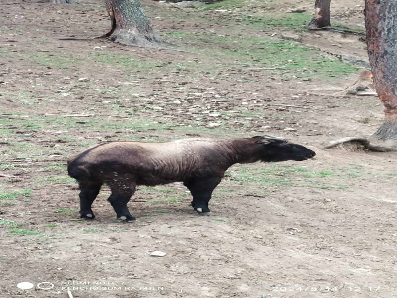 Bhutan Festival Tour Packages 7 Nights 8 Days