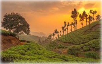 Trip To Kerala 6N - 7D