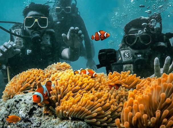 8 Days Island Signature Backpacking With Scuba And Sea Walking Tour