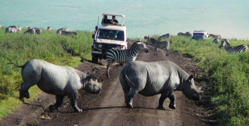 12 Days Tanzania Safari Tour Image
