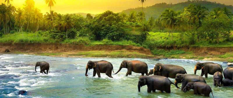 SRI LANKA TOUR ITINERARY- 06 NIGHTS / 07 DAYS