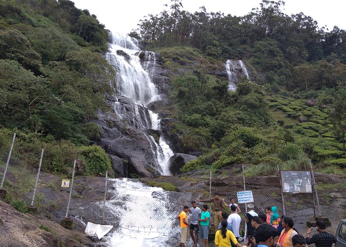3N - 4D Cochin - Munnar - Thekkady Tour Image