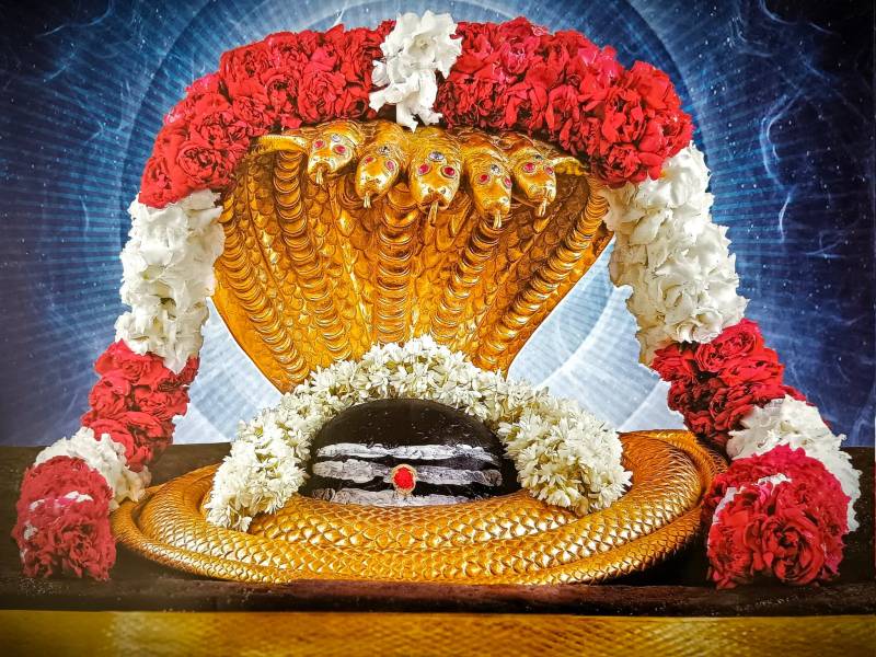 12 Jyotirlinga 4 Dham Yatra Package | Complete Shiv Darshan Tour India