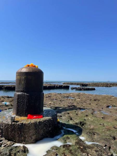 Infinity Gujarat Wild Heritage Trail