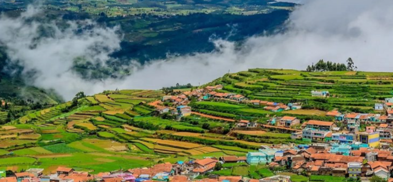 03 Days Ooty And Kodaikanal Package