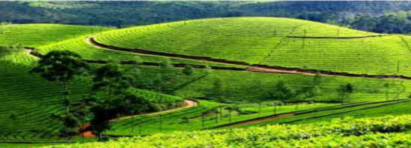 9 Days Kerala Tour Package