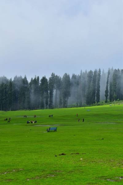 Kashmir Package For 5 Nights And 6 Days
