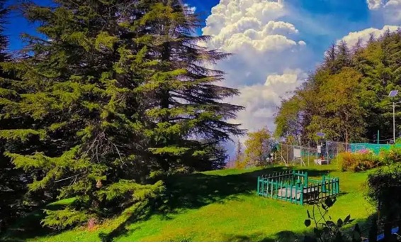 Dalhousie - Khajjiar Tour Package From Delhi - 2Night 3Days