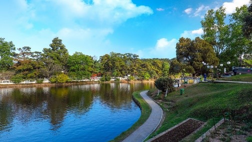 5 Night - 6 Days Meghalaya Tour Package