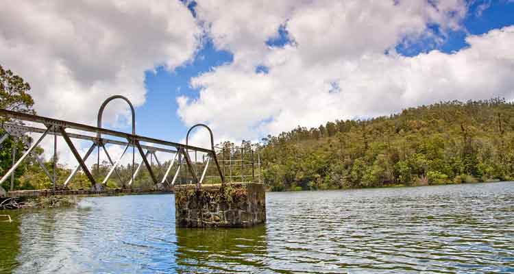 6N 7D Ooty - Kodaikanal - Wayanad Tour