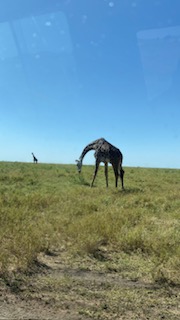 4 Nights 5 Days JRO Kilimanjaro International Airport - Ngorongoro Crater Tour