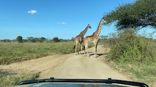 4- Day Tour Tarangire- Serengeti National Parks