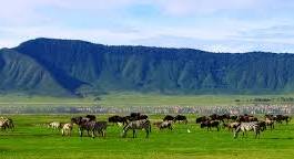 5 Nights 6 Days Adventure Tour Image