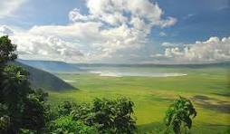 8- Safari Days of Adventure Tour