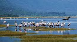 8- Safari Days of Adventure Tour