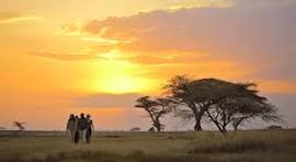 8- Safari Days of Adventure Tour