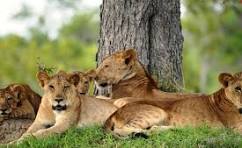 4 Days 3 Nights Fly- in Package