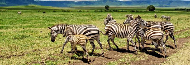 6 Days - 5 Nights Northern Circuit Tour Image
