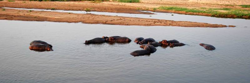 3 Days 2 Nights Southern Circuit - Ruaha Tour By Drive Image