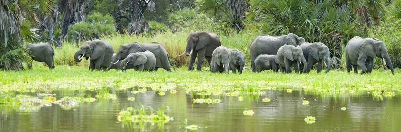 3D 2N Southern Circuit - Selous Tour By Road From Dar Es Salaam