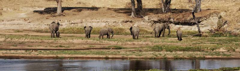3 Days 2 Nights Southern Circuit - Ruaha Fly In From Zanzibar
