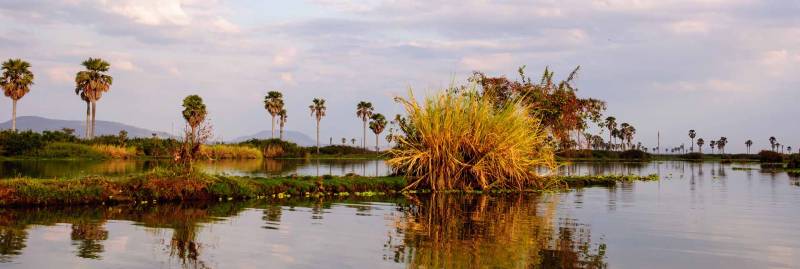 3 Days 2 Nights Sothern Circuit - Selous Fly In From Dar