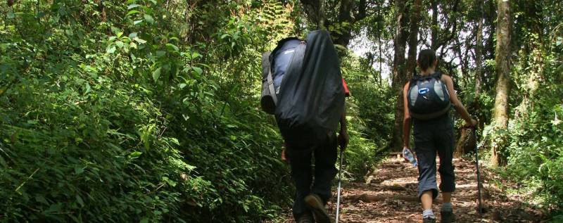 7 Days Mt Kilimanjaro - Machame Route Tour