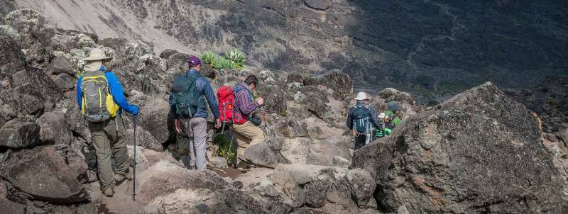 8 Days Mt Kilimanjaro - Lemosho Route Tour