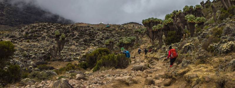 Kilimanjaro Climb - Lodge Safari 12 Days Tour