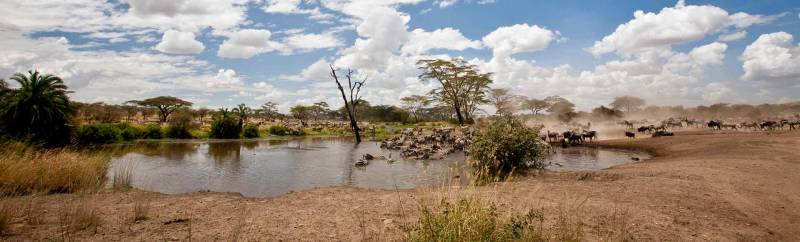 9 Days - 8 Nights Northern Circuit - Zanzibar Tour Image