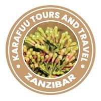 8/7 Nights Zanzibar beaches including Excursions . Image