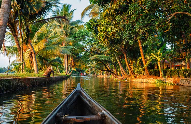 6N 7D Kerala - God's Own Country Tour Image