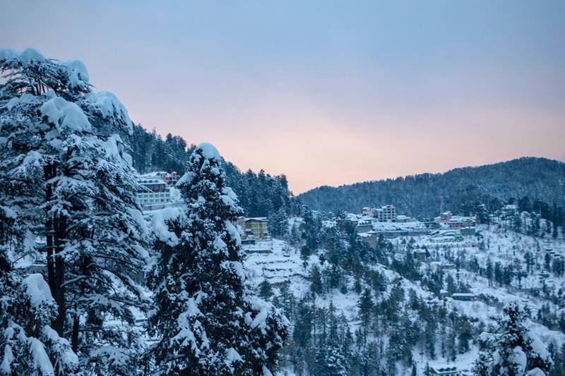7 Days Shimla - Manali Tour Package