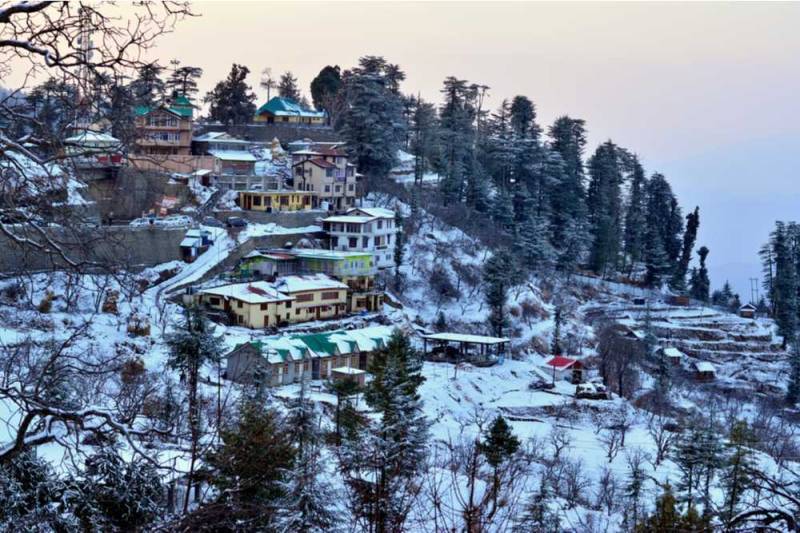 4 Days Shimla Luxury Tour Package