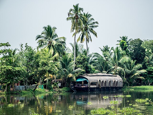 3 Night Munnar - House Boat Tour Package