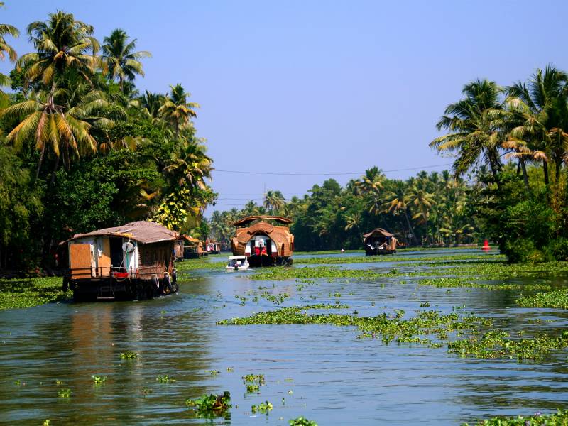 Kerala Backwater Bliss 6N 7D Tour Image
