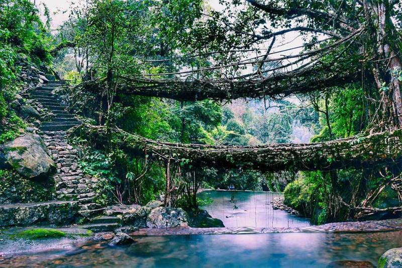 Meghalaya Tour Itinerary 6 Nights - 7 Days