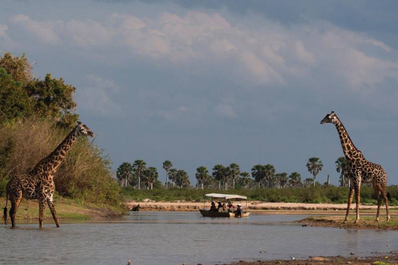 9 Days Mikumi - Ruaha And Selous National Park Tour Image