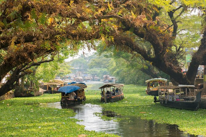 Kerala Tour Package 4 Night - 5 Days Image