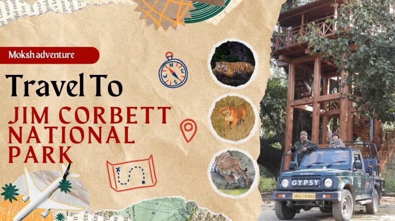 Jim Corbett National Park Service - Moksh Adventure