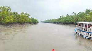 I Night 2 Day Sundarban Tiger Reserve